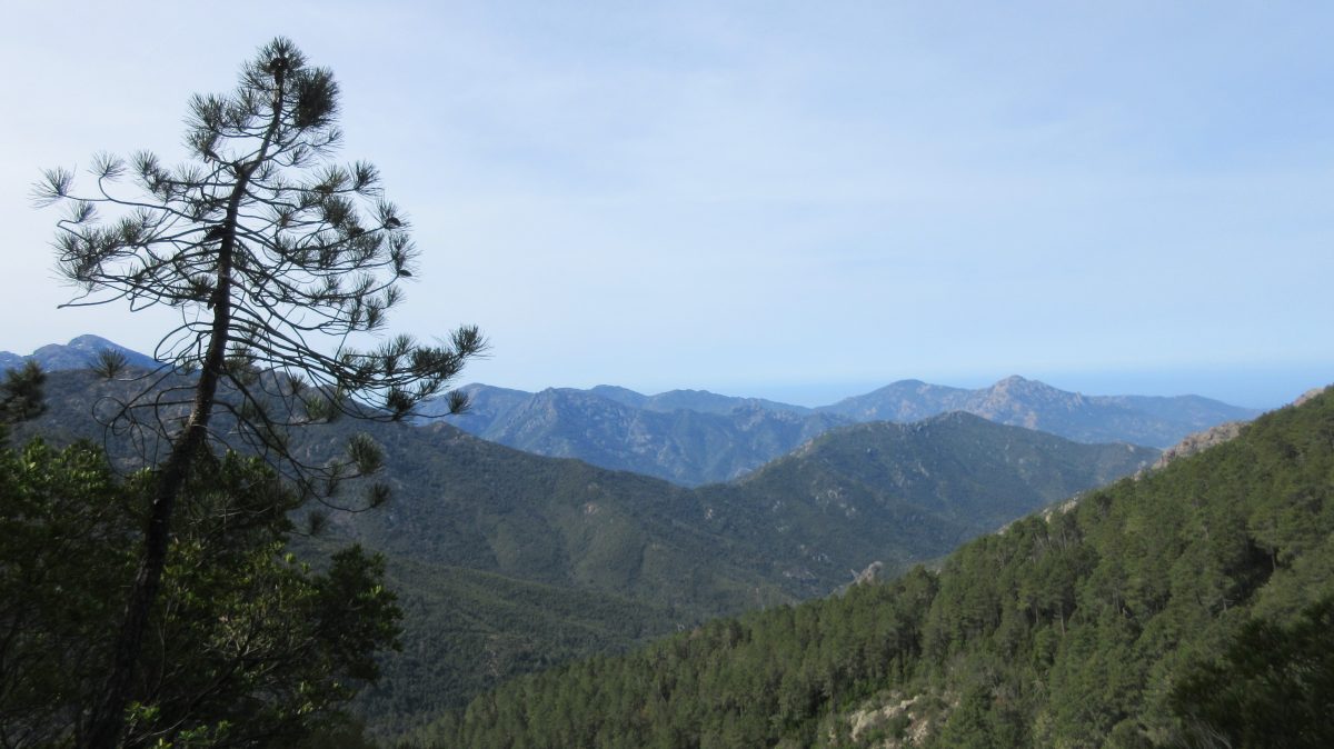 Tag 4: Korsika – Mare e Monti: Von Bonifatu nach Tuarelli