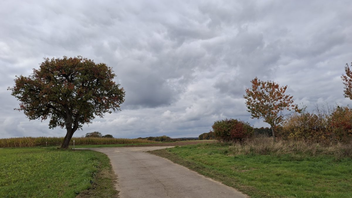 🚶Oktober 2025: auf dem Mullerthaltrail – Tag 2