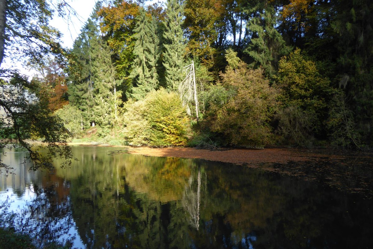 🚶Oktober 2025: auf dem Mullerthaltrail – Tag 3