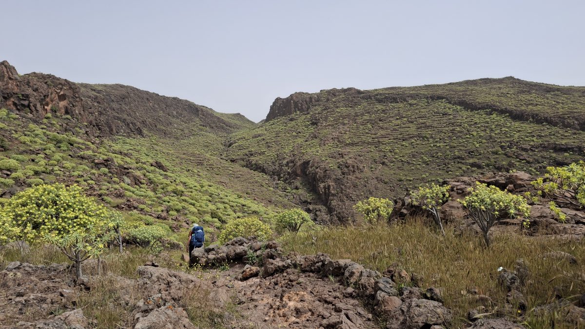 🚶März 2026 La Gomera – Tag11